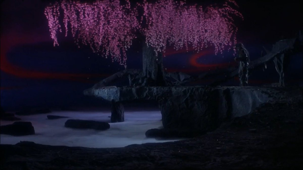 Sarah Makes People Watch Things! tweet media