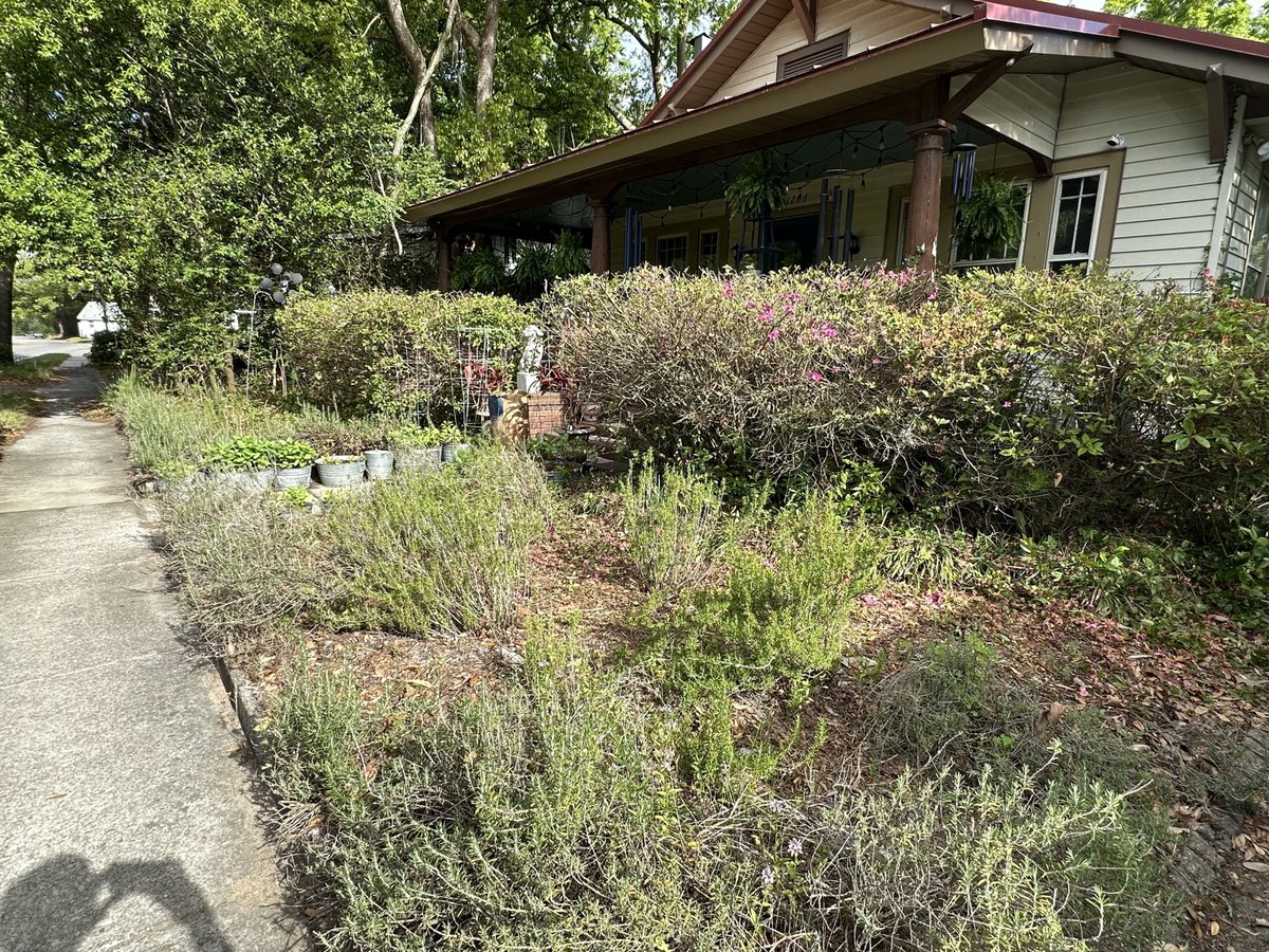 Patrick Skinner tweet media