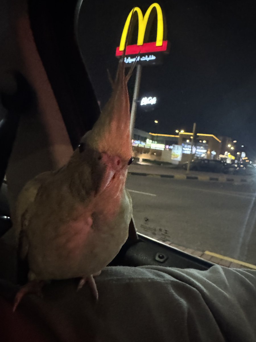 Suzie ʚଓ tweet media