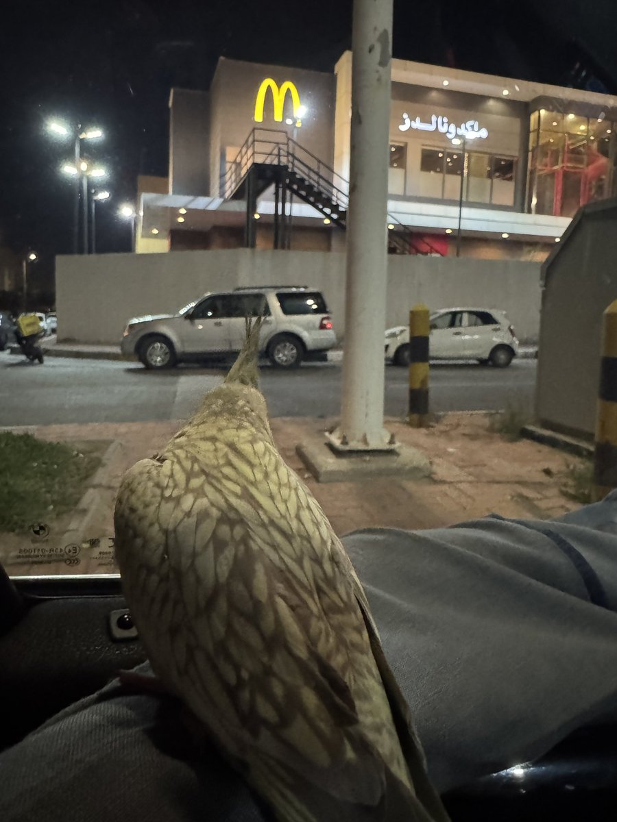 Suzie ʚଓ tweet media