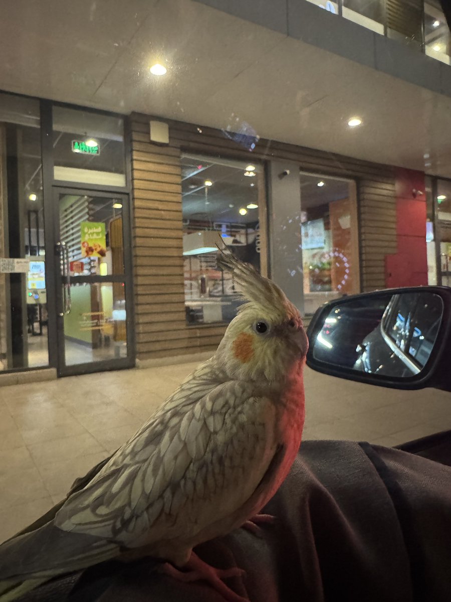 Suzie ʚଓ tweet media