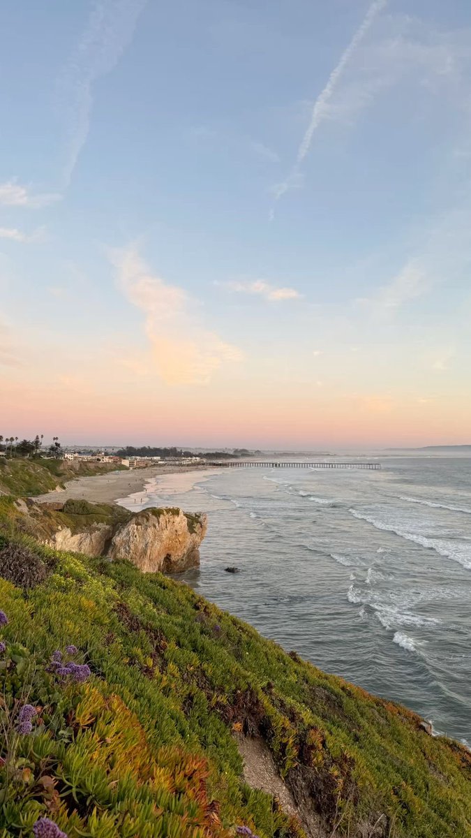 ⋆. 𐙚 ˚ lola ⸆⸉ || #1 folklore stan tweet media