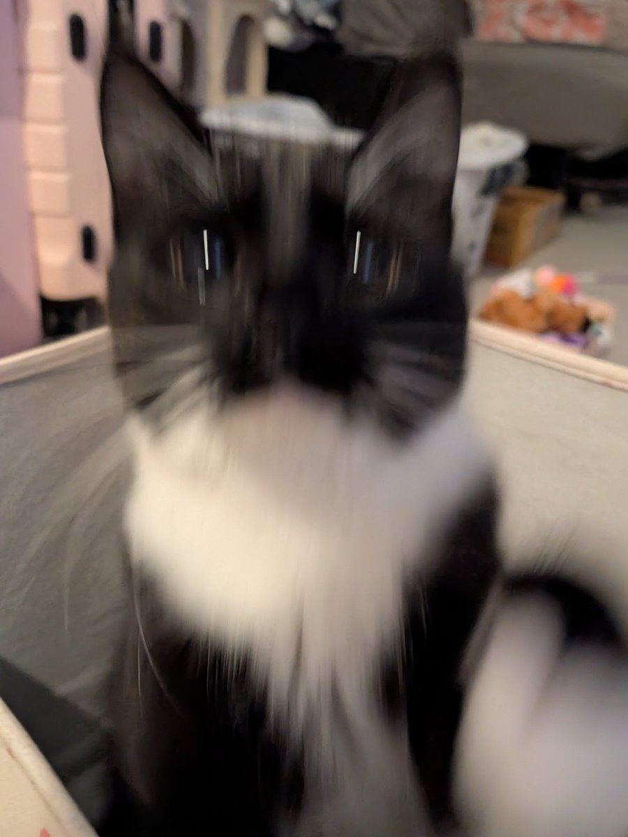 chromu chromu 🎀💗 tweet media