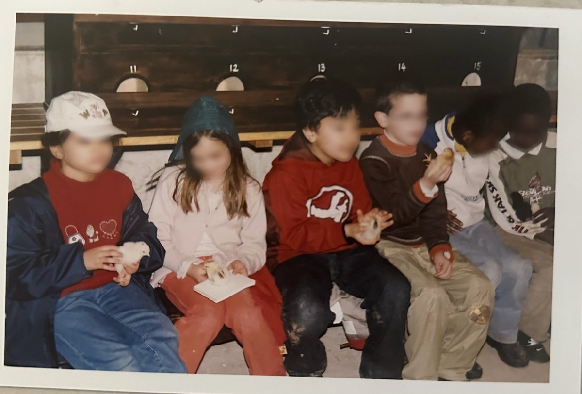 solrenette tweet media