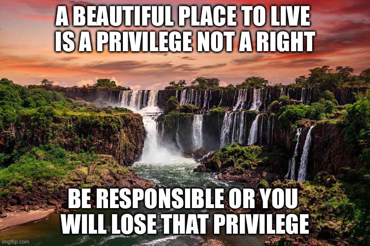 That’s About Enough tweet media