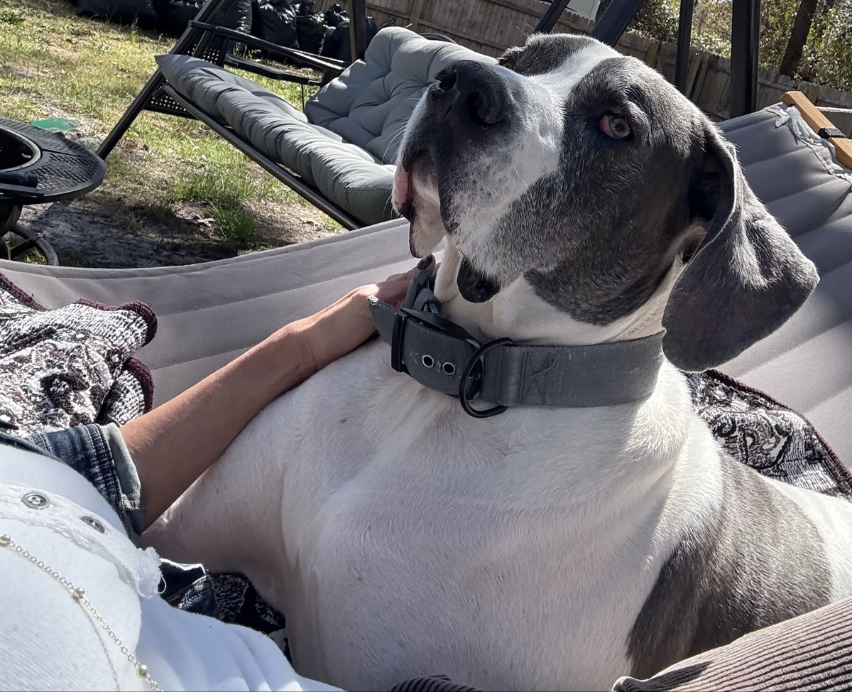 candi christa tweet media