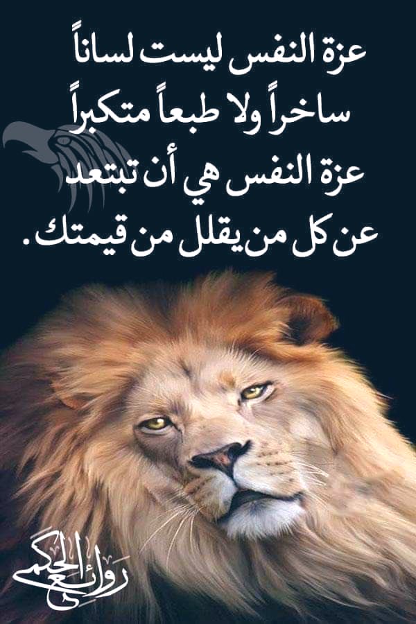 ‎ ‏﮼عيون،الغلا tweet media