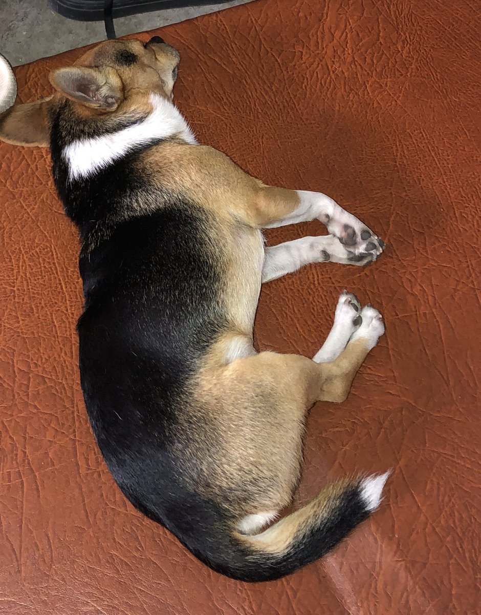 boris | ARIRANG 19 tweet media