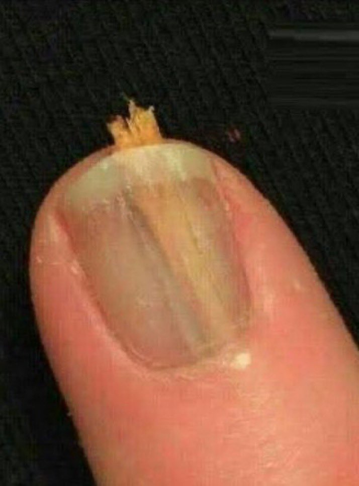 CHINEME⭐🌟⭐ tweet media