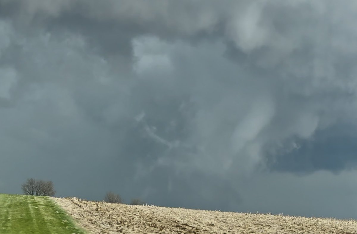 Tornado🌪️ Allie tweet media