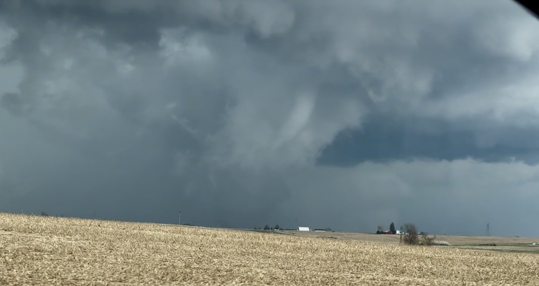 Tornado🌪️ Allie tweet media