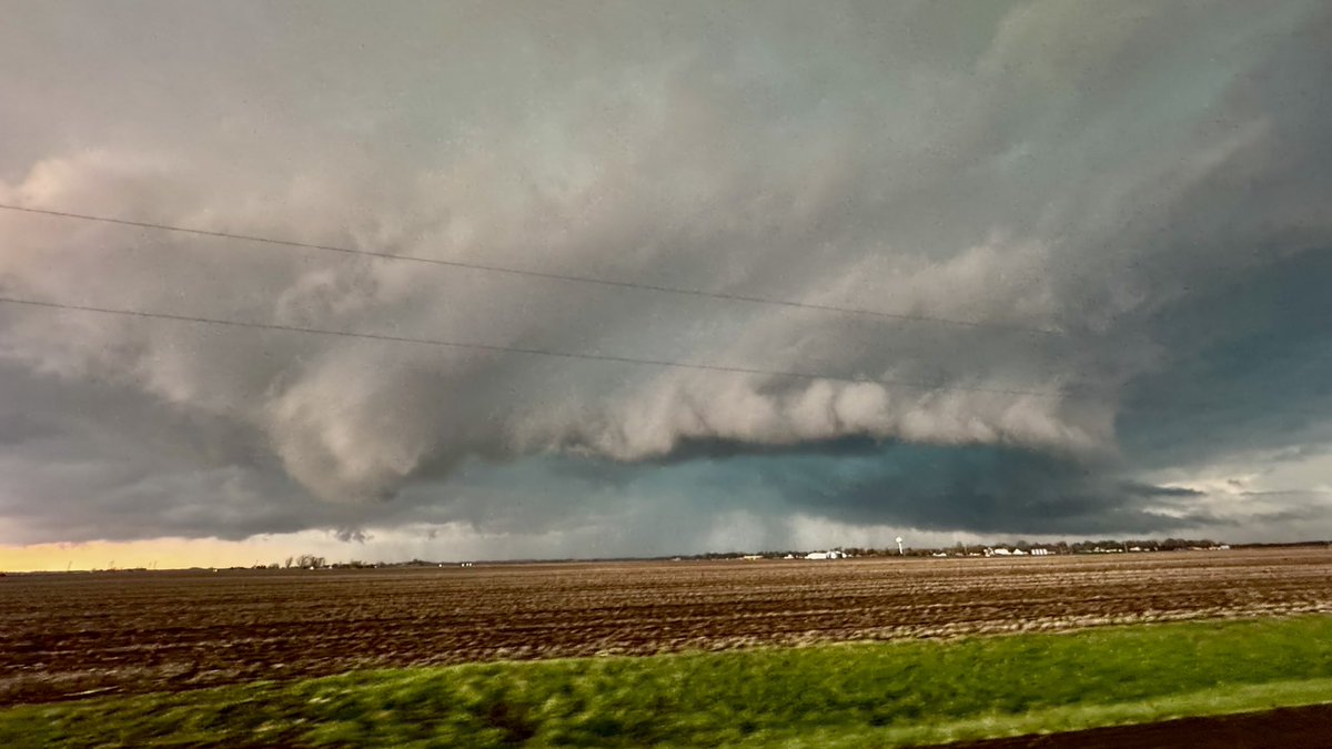 Tornado🌪️ Allie tweet media