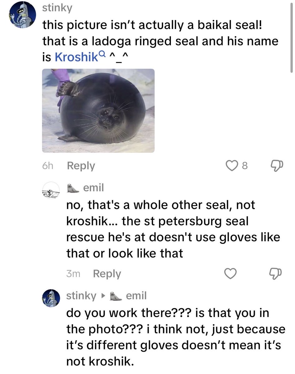 ‧ ₊ ˚ ⚔️┊emil tweet media