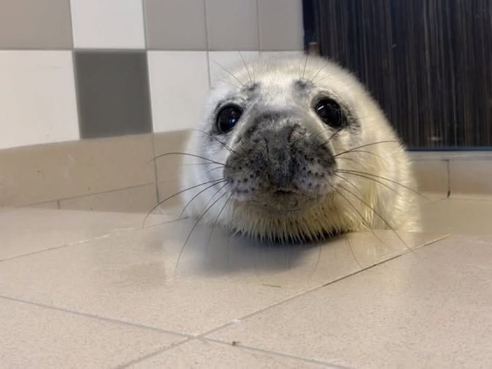 Sage ‼️‼️‼️‼️ tweet media