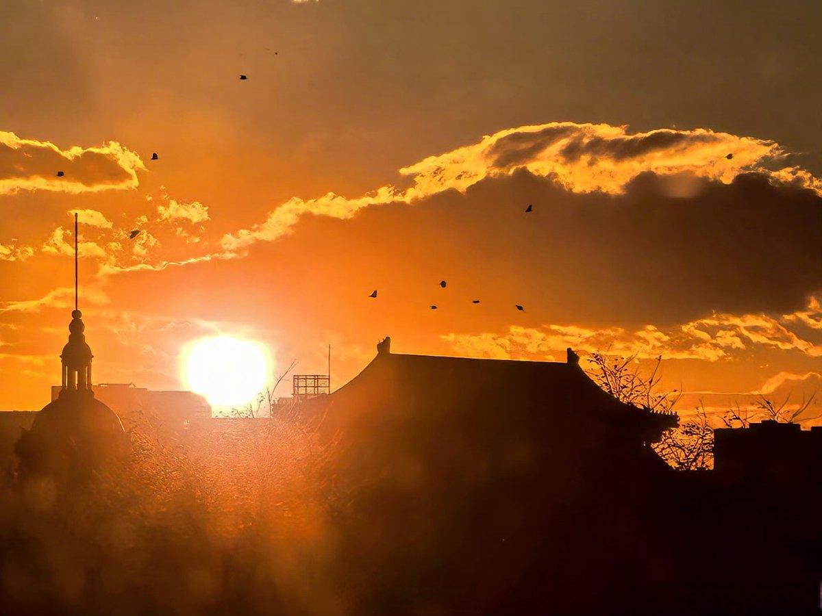 sunny kumar tweet media