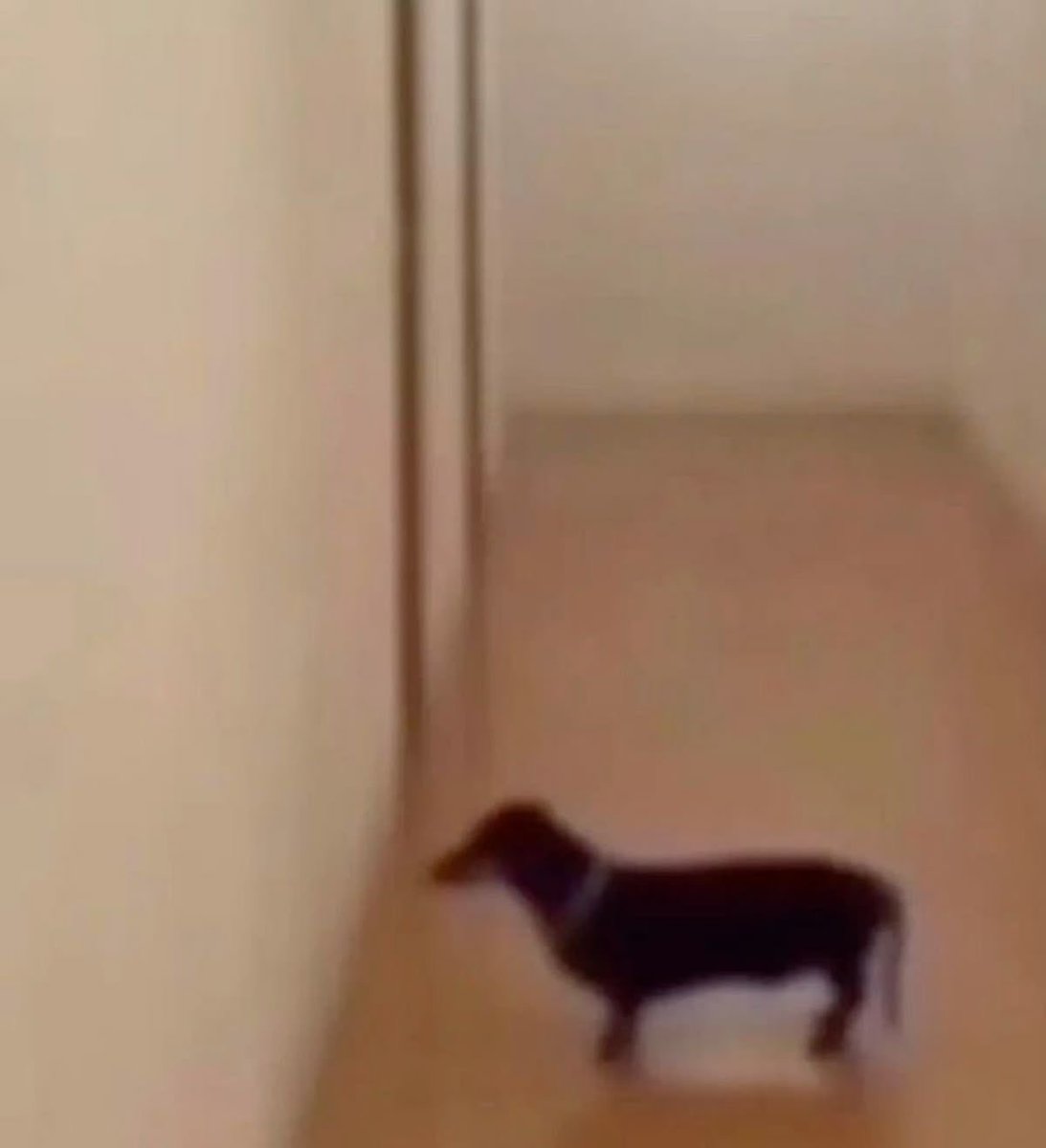 Rosalie:3 🌟 tweet media