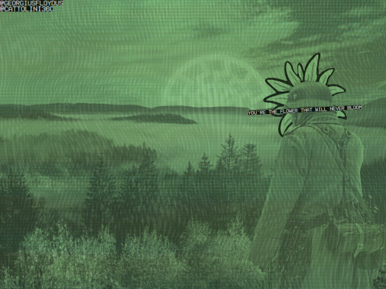 Catolini tweet media