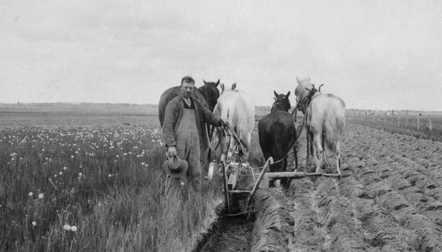 The Reclamare tweet media