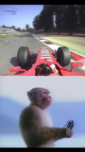 Anyanka 🇧🇪 🐸🐝 tweet media