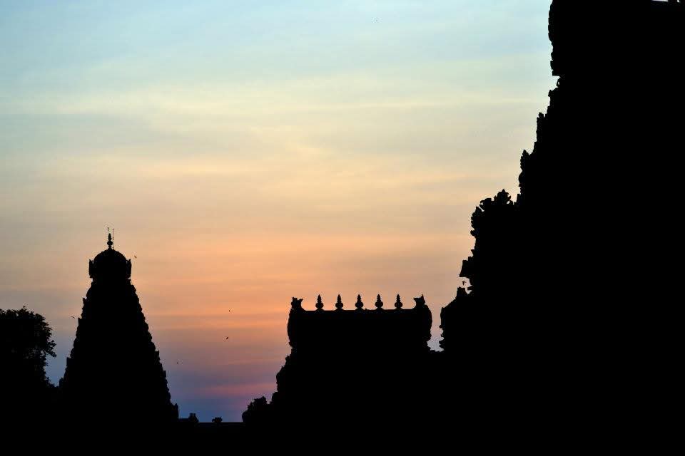 மரத்தோணி tweet media