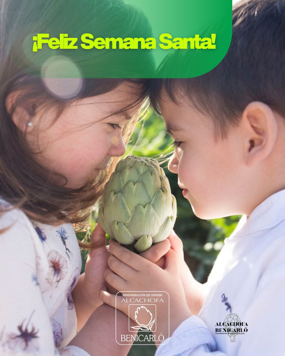 ALCACHOFABENICARLO tweet media