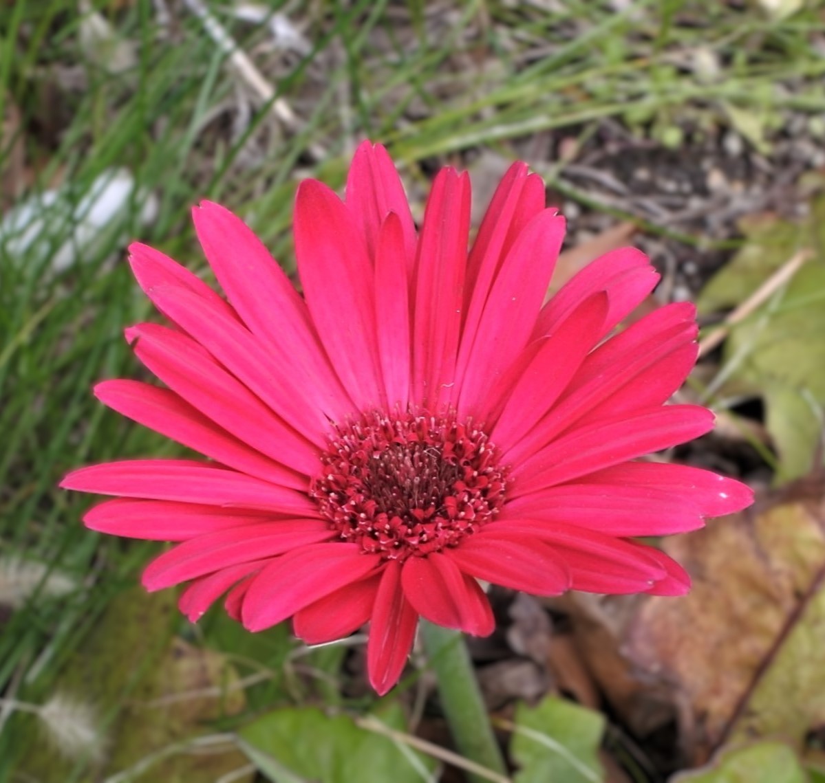 かっちゃん tweet media