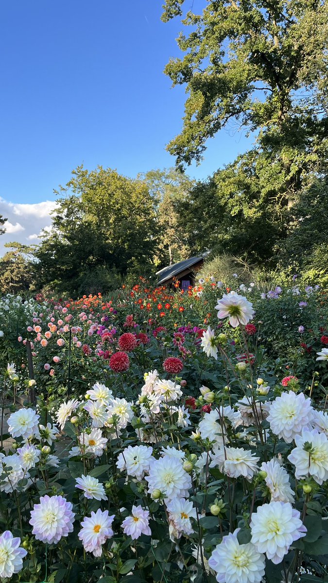 Mec simple tweet media