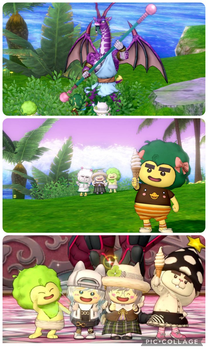 なめこ/レクタリス tweet media