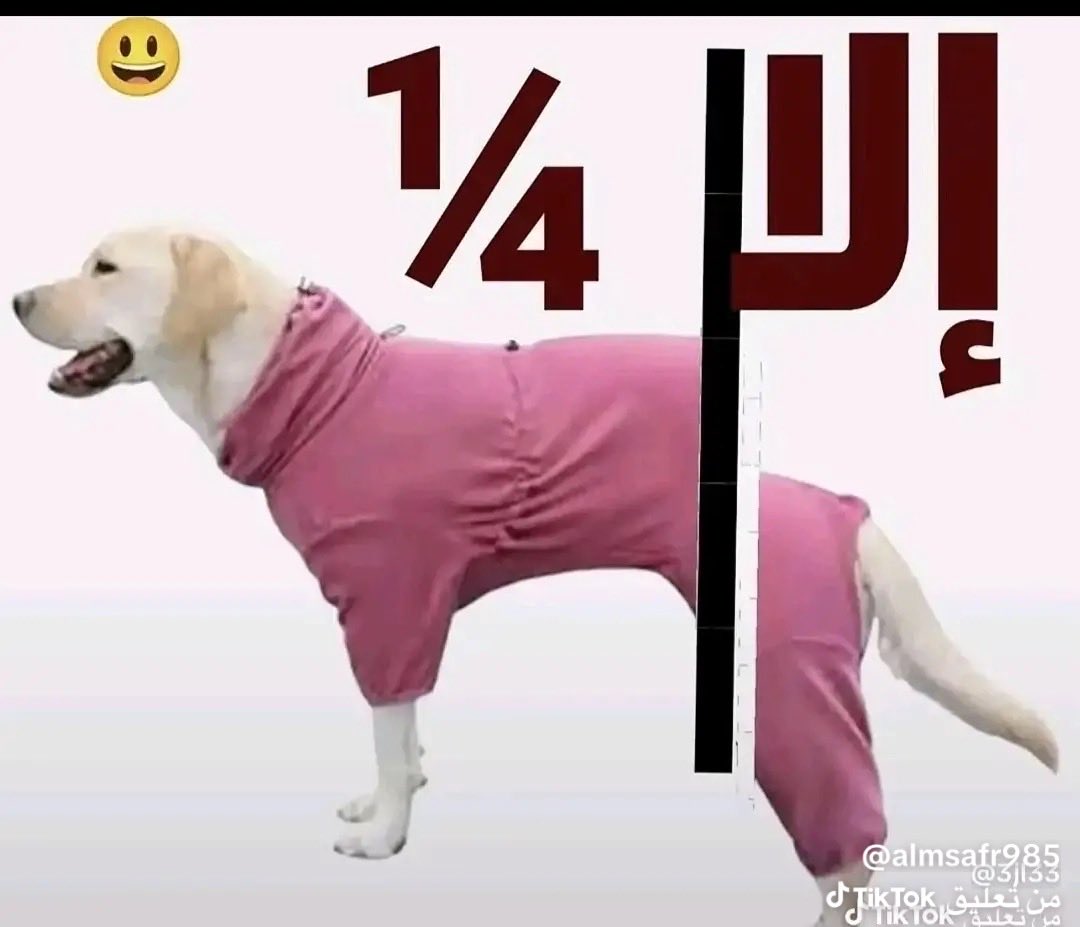 عبدالله ابراهيم tweet media