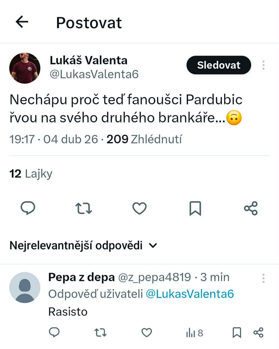 Jméno Příjmení tweet media