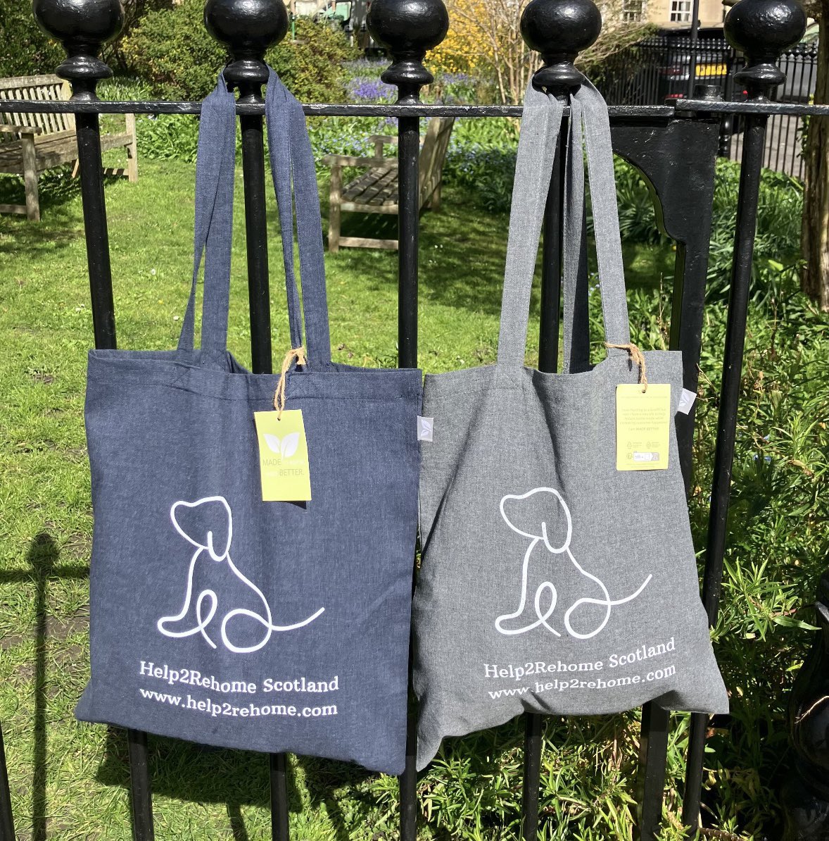 Help2Rehome Scotland tweet media