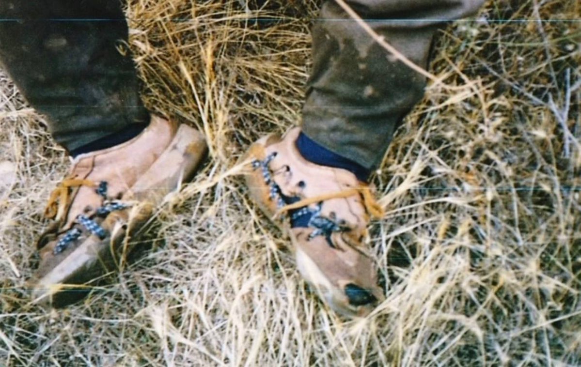 Ava zelal tuwana nû tweet media