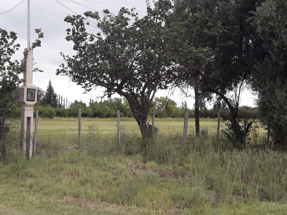 🇦🇷 Retire in Argentina tweet media