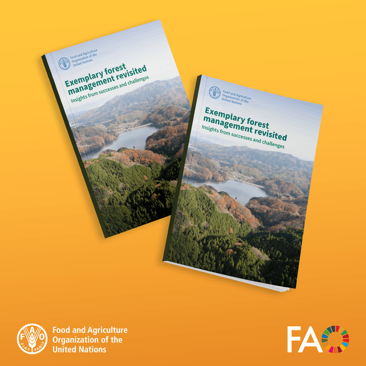 FAOForestry's tweet photo. 🌳 What makes forest management truly sustainable over time?

@FAO revisits 25 standout cases from its “In Search of Excellence” initiative to draw lessons for the future of forest governance.

➡️ Exemplary forest management revisited: https://t.co/ddFwnvaxre https://t.co/o6fsZiaNue