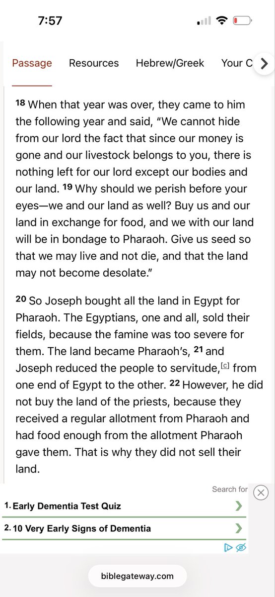 Tram Ryder tweet media