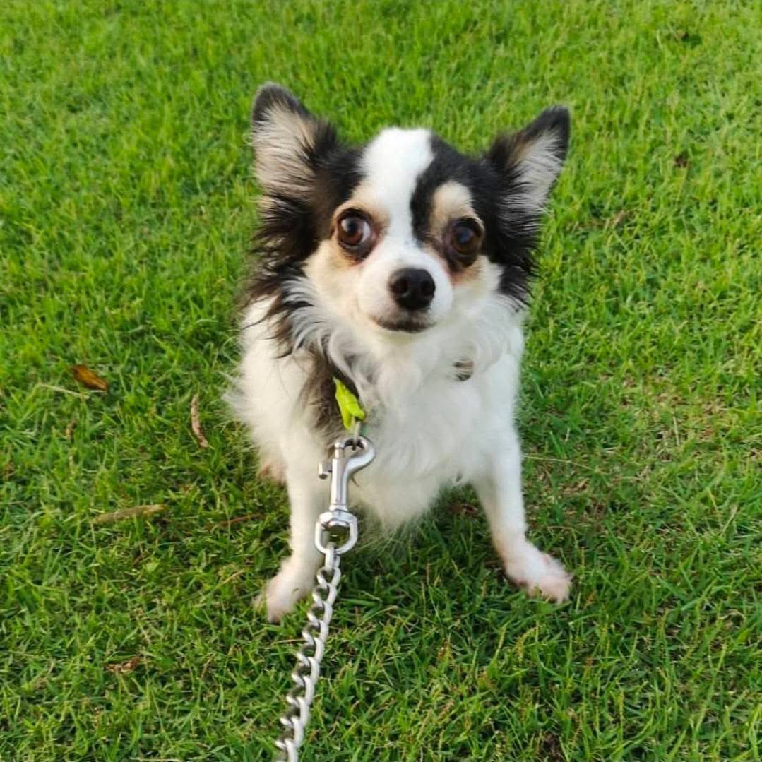 ธรรมะ คำสอน หลวงพ่อจรัญ tweet media