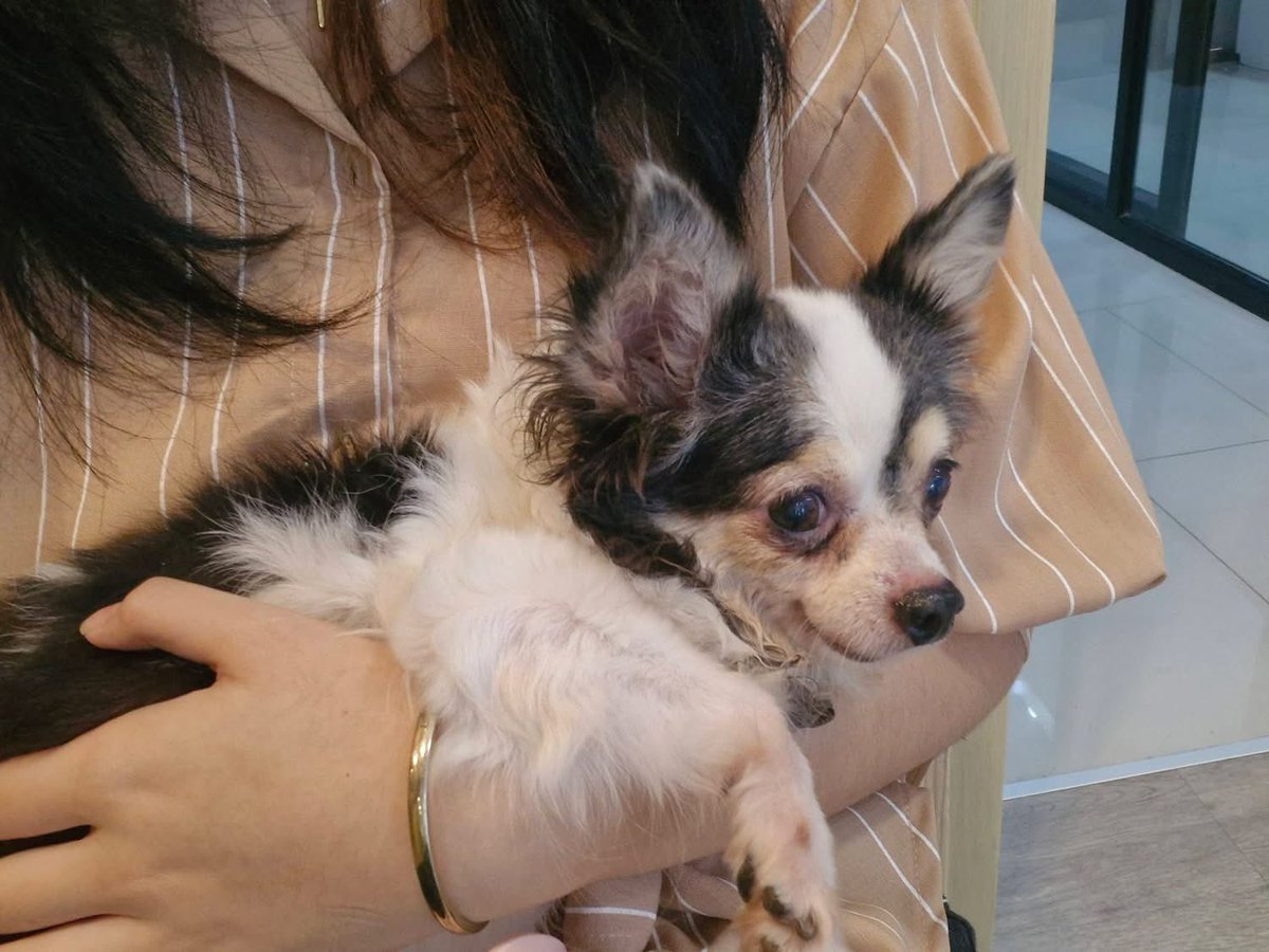 ธรรมะ คำสอน หลวงพ่อจรัญ tweet media