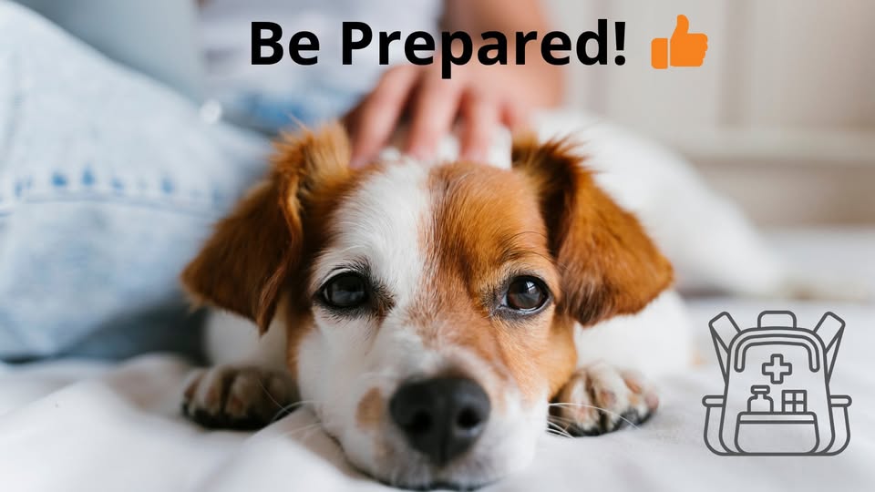 MiltonHydro's tweet image. During a power outage, keep your pets safe! Have extra food, water, &amp;amp; meds ready. Be prepared for any situation. 

Learn more: getprepared.gc.ca/cnt/hzd/pwrtgs… 

#ProtectYourPets #PreparationIsKey #KnowledgeIsPower