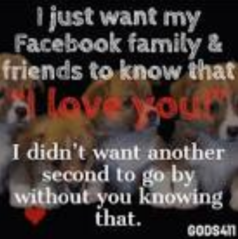 Dusty Bumps tweet media