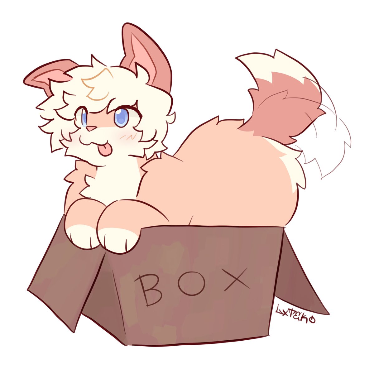 Box dog