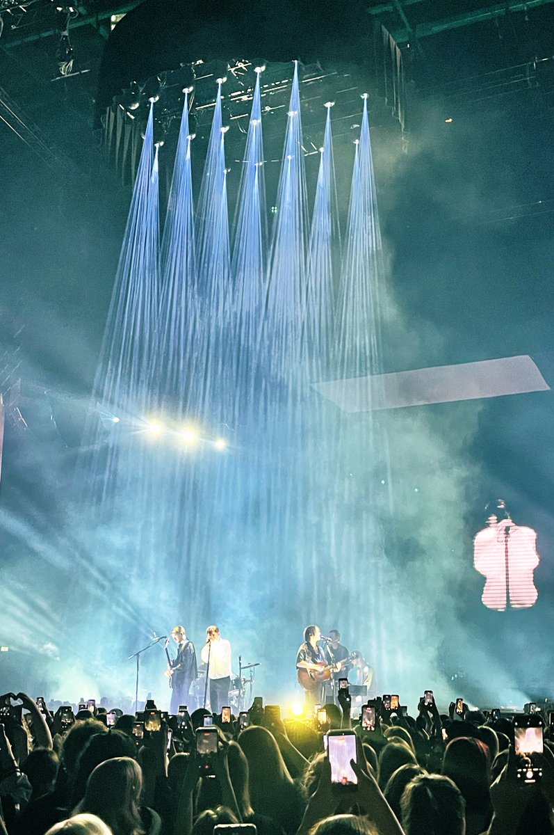 SunAndSunflower tweet media