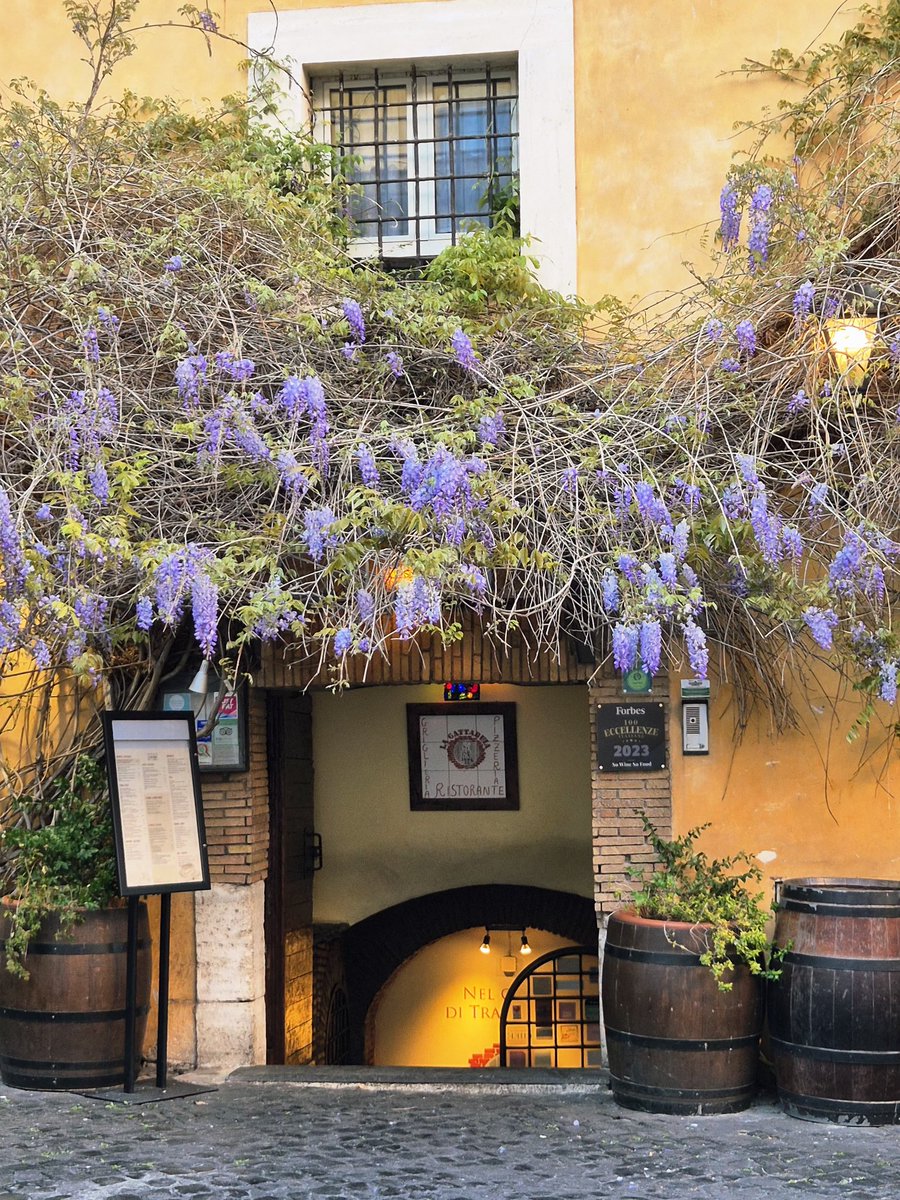 Perpetuum Mobile tweet media