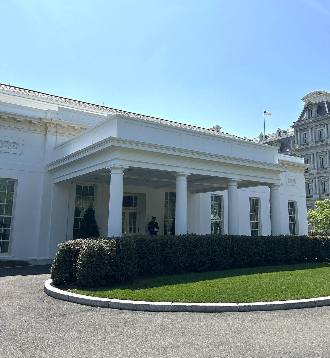 Emma Nicholson tweet media