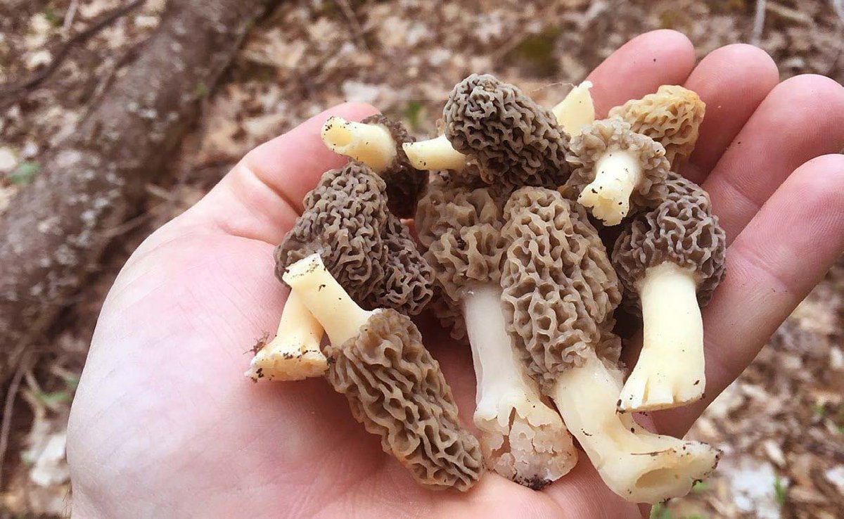 hudah.slam ⚡ tweet media