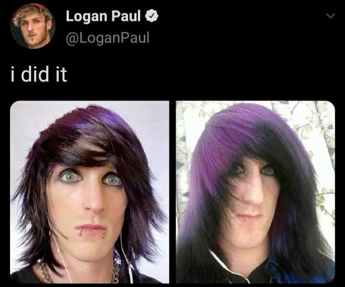 ( • _ // ) tweet media