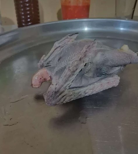 BigHope🧸🪐 tweet media