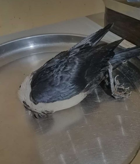 BigHope🧸🪐 tweet media