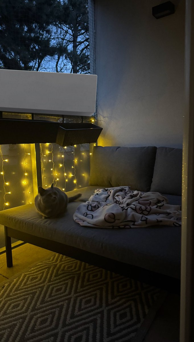 y a n i 👻 tweet media