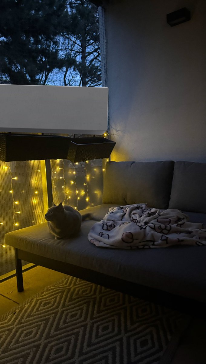 y a n i 👻 tweet media