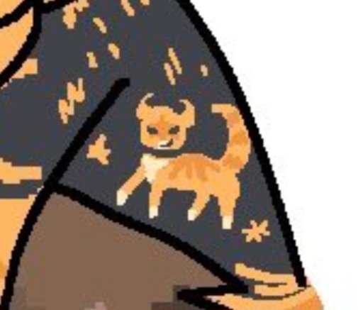 Conffete🎉 tweet media